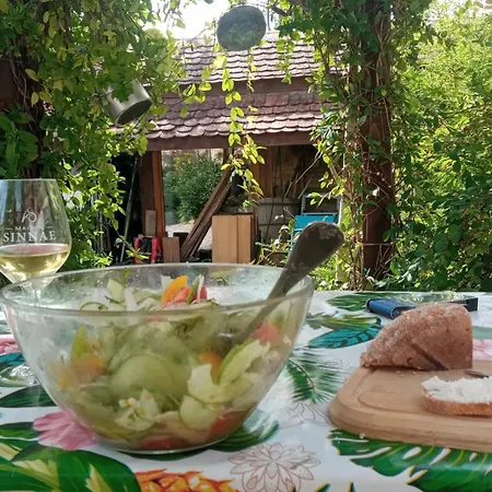 Kwatera prywatna En Alsace, Le 49 Mittelbergheim