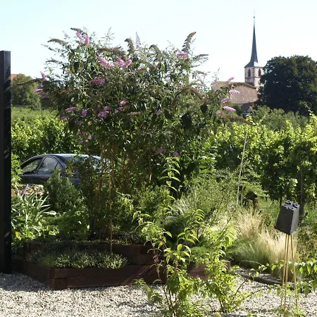 Kwatera prywatna En Alsace, Le 49 *