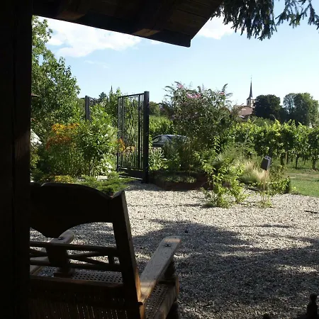 En Alsace, Le 49 * Mittelbergheim