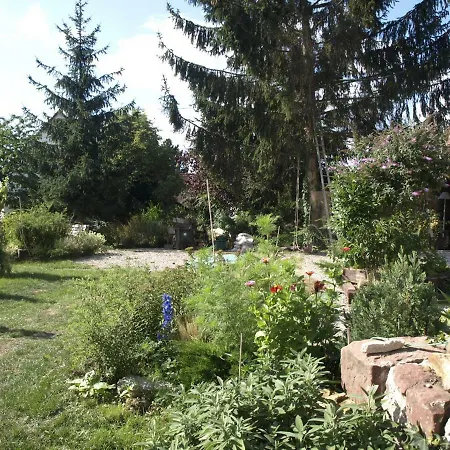 Kwatera prywatna En Alsace, Le 49